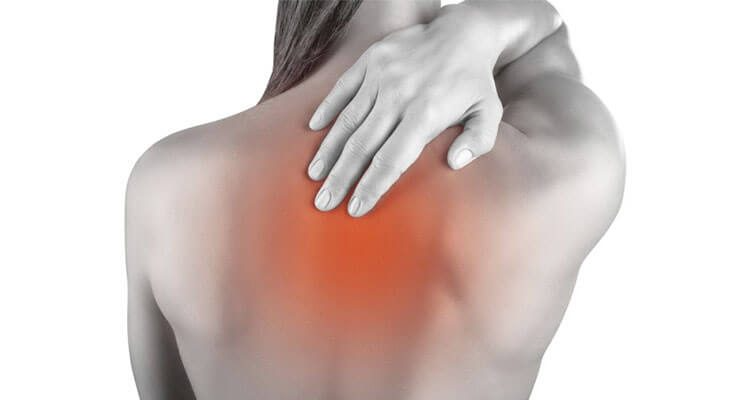 Exercícios para Melhorar a Postura e Prevenir Dores nas Costas